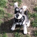Teddy Curtis - @tedted_curtis - Instagram
