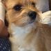 Teddy Dawson - Facebook