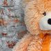 Teddy day - Facebook