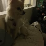 Teddy Deleon - @teddy.deleon.549 - Instagram