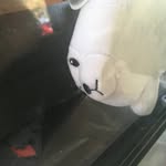 Teddy Dobbs - @spammybear14 - Instagram