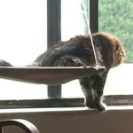 Ted Dotson - @ted_dotson45 - Instagram