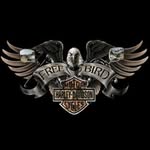 teddy dotson - @ted_dotson - Instagram