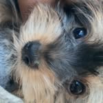 Teddy Graham Downs - @teddy.graham._man - Instagram