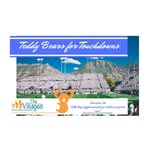 TEDDYS4TOUCHDOWNS - @teddys4touchdowns - Instagram