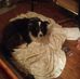 Ted Doyle - Facebook
