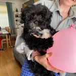 Teddy Doyle - @_teddy_nugh_ - Instagram