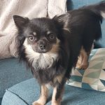 Teddy Doyle - @teddy_doyle - Instagram