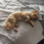 Teddy.doyle5 - @teddy.doyle - Instagram
