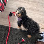 Theodore Eugene “Teddy” Doyle - @theodore_eugene_doyle - Instagram