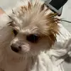 Teddy Duarte - @vagduarte - TikTok
