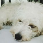 teddy Frederico Duarte - @teddyfrederico1 - Instagram