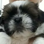 Teddy Moreira Duarte - @diadoteddy_ - Instagram