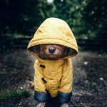 teddy zabal - @teddy_duarte - Instagram