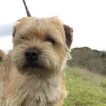 Ted - @teddy.duke - Instagram