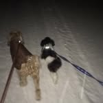 teddy & duke - @teddyandduke - Instagram