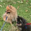 Teddy ♡ Duke - @teddy.duke - TikTok
