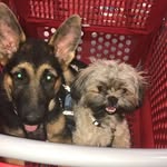 Teddy DUKE - @teddynduke - Instagram