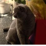 Teddy Duke - Facebook