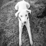 Teddy Duke. Adventures of a conservation list. - Facebook