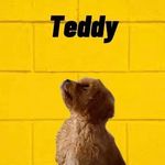 Teddy Edmonds - @teddy_edmonds_ - Instagram