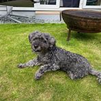 Teddy Elliott - Facebook