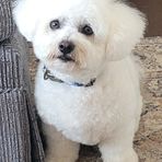 Teddy Elliott - Facebook