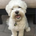 Teddy Bear Murphy Ellis - @teddybearmurphyellis - Instagram