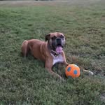 Teddy Ellis - @tellis.357 - Instagram