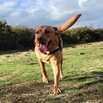 Teddy ellis - @teddy_thebomb - Instagram