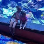 Teddy Ellis - @mr.buckshot23 - Instagram