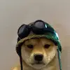 user8163783112897 - @teddyellis06 - TikTok
