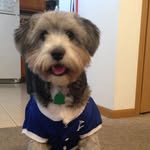 Teddy Erickson - @tedwardthemutt - Instagram