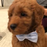 🐾 Theodore P. Escobar - @teddyescobar17 - Instagram