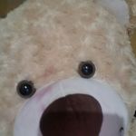 teddyestes - @teddyes9 - Instagram