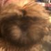 Teddy Farley - Facebook