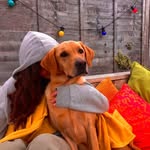 teddy farley - @its.teddy.the.lab - Instagram