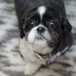 Teddy Farley - @therealteddyfarley - Instagram