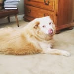 Teddy - @teddy_farley1 - Instagram