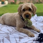 Teddy Farmer - @theadventuresofted - Instagram