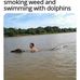 Teddy Farrell - Facebook
