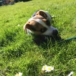 Teddy Farrell - @farrellteddy - Instagram