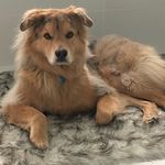 Teddy Faustini - @teddyfaustini - Instagram