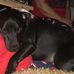Ted Fielding - Facebook