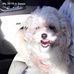 Teddy Fields - Facebook