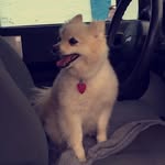 Teddy Fitzpatrick - @teddyfitz_ - Instagram