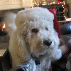 Teddy Fitzpatrick - Facebook