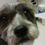 Teddy Fitzpatrick - Facebook