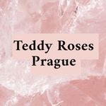 𝓣𝓮𝓭𝓭𝔂 𝓯𝓵𝓸𝔀𝓮𝓻𝓼 𝓲𝓷 𝓟𝓻𝓪𝓰𝓾𝓮 - @teddy_roses_prague - Instagram