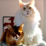 Adventures of Teddy & Floyd - @teddy_and_floyd - Instagram